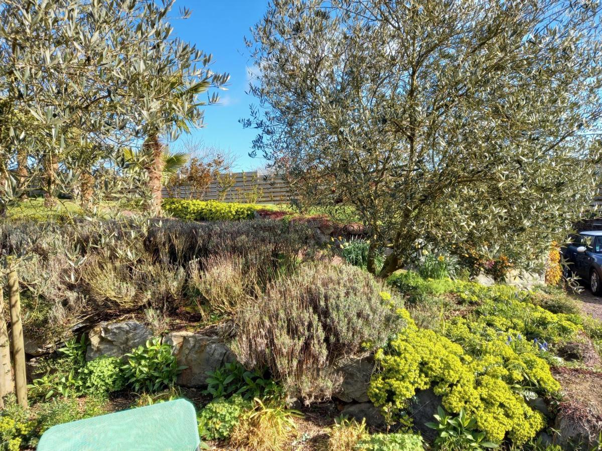 Havre De Paix Et Jardin Tropical. Chambre Privee Le Rheu Exterior photo